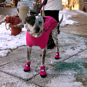 Dog Shoes & Boots – SPARK PAWS