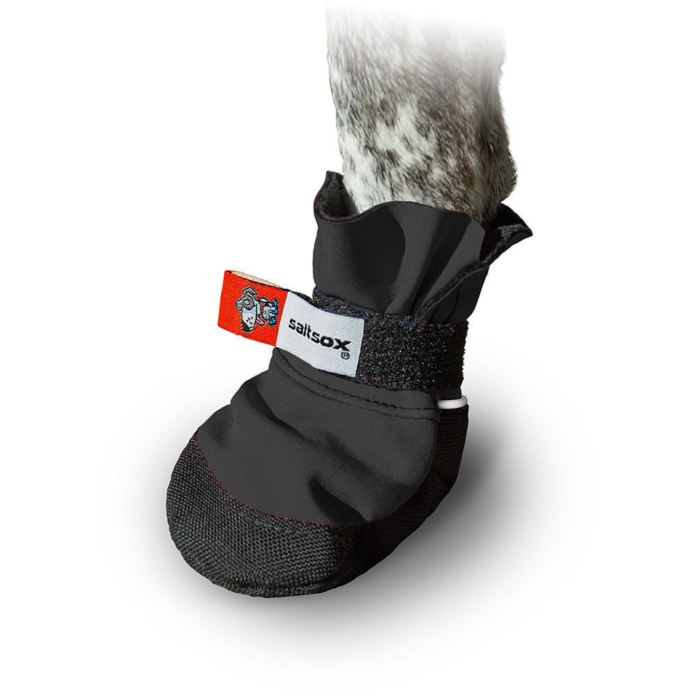 Saltsox 2025 / Blizzard Black