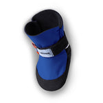 Saltsox 2026 / Sapphire Blue